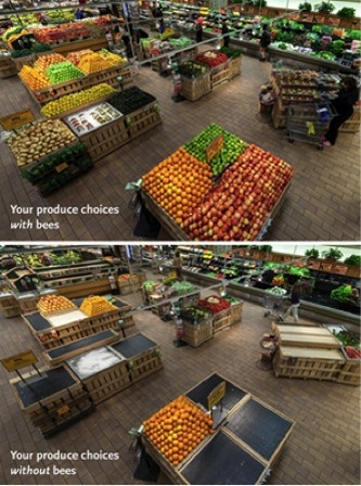Produce with and without bees. image from Huffington Post.